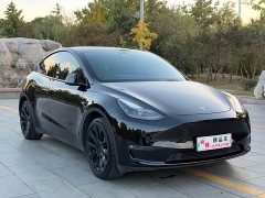 Tesla Model Y Standard Range RWD - ფოტო 3