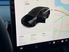 Tesla Model Y Standard Range RWD - ფოტო 7