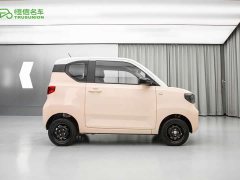 Wuling Hongguang MINIEV Macaron Fashion Edition LFP Battery - photo 2