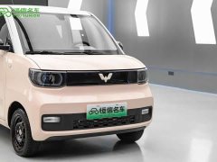 Wuling Hongguang MINIEV Macaron Fashion Edition LFP Battery - photo 5