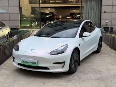 Tesla Model 3 Rear-Wheel Drive - photo 1