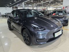 Tesla Model Y Rear-Wheel Drive - ფოტო 1