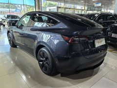 Tesla Model Y Rear-Wheel Drive - ფოტო 17