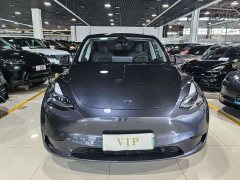 Tesla Model Y Rear-Wheel Drive - ფოტო 2