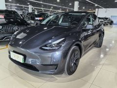 Tesla Model Y Rear-Wheel Drive - ფოტო 3