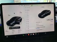 Tesla Model Y Rear-Wheel Drive - ფოტო 6