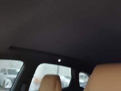 Geely Galaxy L7 1.5T 115km PLUS Longteng Edition - ფოტო 17