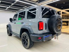 Tank 300 Off-Road Edition 2.0T Challenger - ფოტო 15
