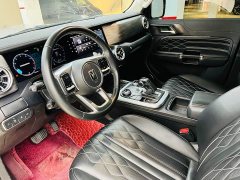Tank 300 Off-Road Edition 2.0T Challenger - ფოტო 5
