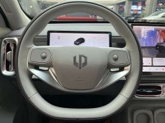 Leapmotor B10 510 Pleasure Edition - ფოტო 4