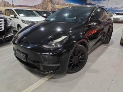 Tesla Model Y Standard Range RWD - ფოტო 1