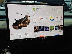 Tesla Model Y Standard Range RWD - ფოტო 11