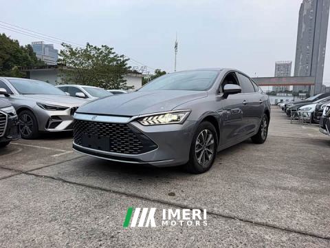 2023 BYD Qin PLUS Champion Edition DM-i 55KM Leading