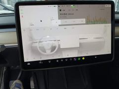 Tesla Model Y Rear-Wheel Drive - ფოტო 12