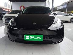 Tesla Model Y Rear-Wheel Drive - ფოტო 2