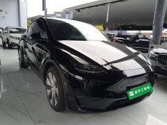 Tesla Model Y Rear-Wheel Drive - ფოტო 3