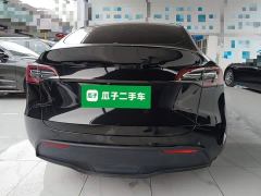 Tesla Model Y Rear-Wheel Drive - ფოტო 5