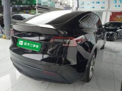 Tesla Model Y Rear-Wheel Drive - ფოტო 6