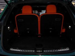 Li Auto L8 Max - photo 7