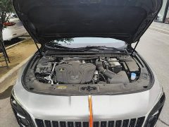 FAW Red Flag H5 2.0T Automatic Flagship Comfort Edition - ფოტო 19