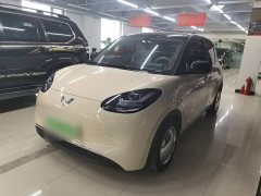 Wuling Binguo 333km Joy Edition - ფოტო 1