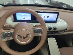Wuling Binguo 333km Joy Edition - ფოტო 13