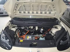 Wuling Binguo 333km Joy Edition - ფოტო 19