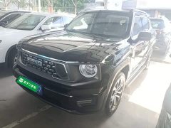 Haval Big Dog PLUS 2023 1.5T Two-Wheel Drive Trendy Wilderness Edition Plus - ფოტო 1