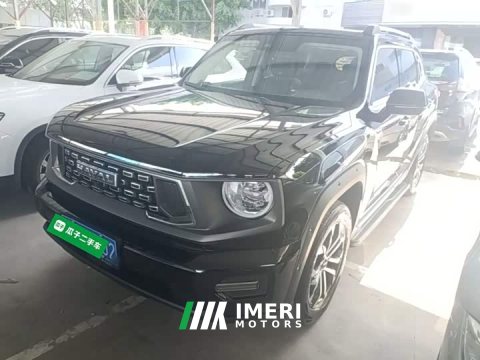 2024 Haval Big Dog PLUS 1.5T Two-Wheel Drive Trendy Wilderness Edition Plus - ავტომობილი ჩინეთიდან