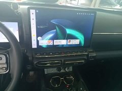 Haval Big Dog PLUS 2023 1.5T Two-Wheel Drive Trendy Wilderness Edition Plus - ფოტო 12