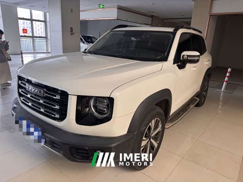 2021 Great Wall Dachshund 1.5T DCT Two-Wheel Drive Labrador Edition - ავტომობილი ჩინეთიდან