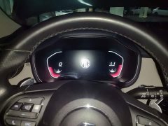 SAIC MG 300TGI 2WDTrophy Edition - ფოტო 3