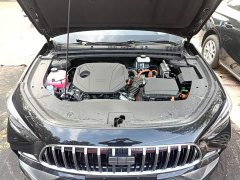 Geely Galaxy Xingyao 6 125km Carefree Edition - ფოტო 19
