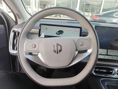 Leapmotor B01 650 Pleasure Edition - ფოტო 10