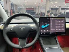 Tesla Model Y 2022 Facelift Rear-Wheel Drive - ფოტო 19