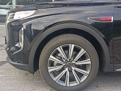 FAW Red Flag HS7 PHEV 2.0T PHEV AWD 2 Million Units Anniversary Edition 6-Seater - ფოტო 4