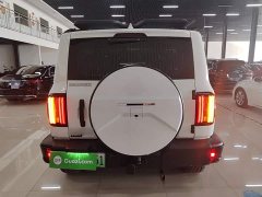 Tank 300 New Energy Hi4-T 37.1kWh - ფოტო 5