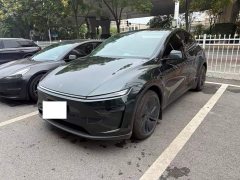 Tesla Model Y Rear-Wheel Drive - ფოტო 1