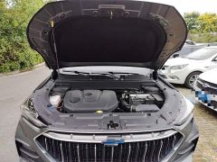 Changan Oushang X5 2021 1.6L CVT Premium - ფოტო 15