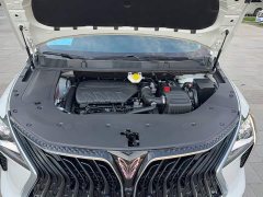 Dongfeng Fengxing Yacht 1.5T DCT Wave-Chasing Edition - ფოტო 16