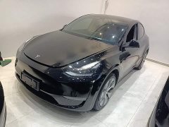 Tesla Model Y Long Range All-Wheel Drive - фото 1