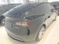 Tesla Model Y Long Range All-Wheel Drive - фото 6