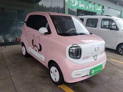FAW Besturn Xiaoma 222km Dynamic Edition - ფოტო 3