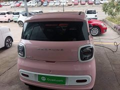 FAW Besturn Xiaoma 222km Dynamic Edition - ფოტო 5