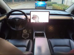 Tesla Model Y Standard Range RWD - ფოტო 9