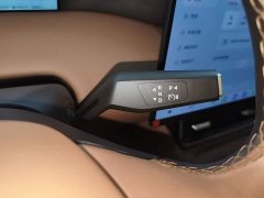 Dongfeng Fengshen L8 185KM Dream Edition - ფოტო 13