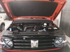 Tank 300 Off-Road Edition 2.0T Conqueror - ფოტო 19