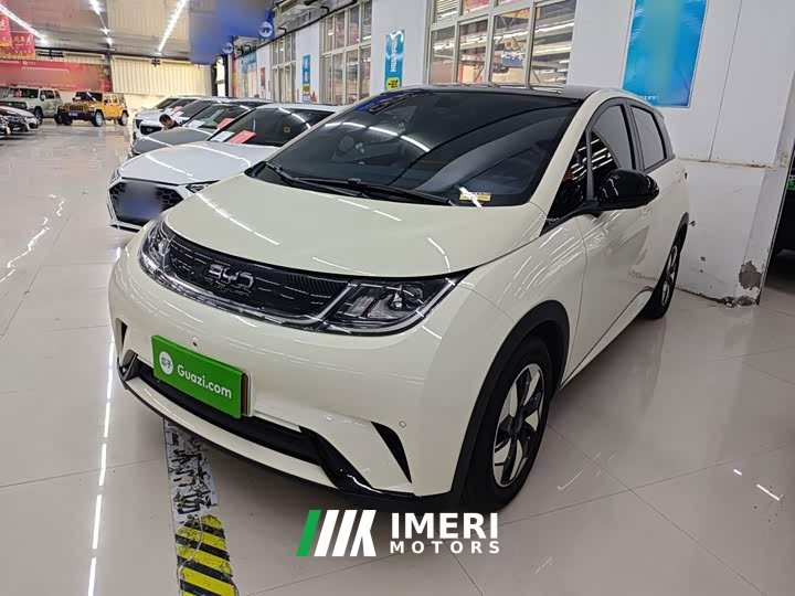BYD Dolphin Glory Edition 420km Fashion Version - ავტომობილი ჩინეთიდან