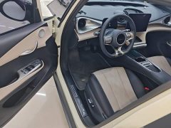 BYD Dolphin Glory Edition 420km Fashion Version - ფოტო 15