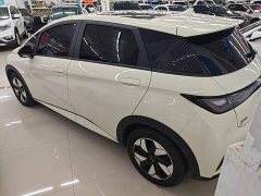 BYD Dolphin Glory Edition 420km Fashion Version - ფოტო 4